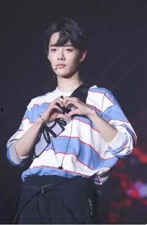 导演爆料视频肖战,肖战幕后故事，揭秘其爆红背后的秘密  第3张